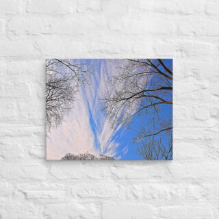 canvas-in-16x20-front-68ef0fbfbad32.jpg Canvas Us Washington Dc Foliage 0003 16″×20″