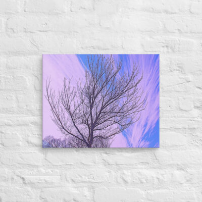 canvas-in-16x20-front-68ef10d050855.jpg Canvas Us Washington Dc Foliage 0002 16″×20″