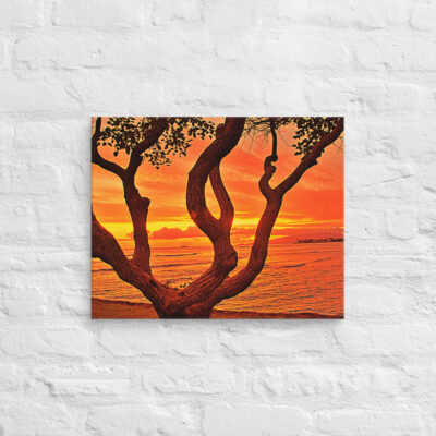canvas-in-16x20-front-68efefce83df2.jpg Canvas Us Oahu Hawaii Sunset 0007 16″×20″