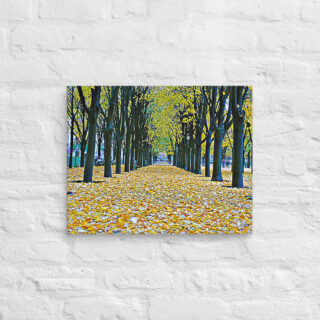canvas-in-16x20-front-68f0018f61469.jpg Canvas French Paris Foliage 006 16″×20″
