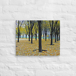 canvas-in-16x20-front-68f00420665f7.jpg Canvas French Paris Foliage 005 16″×20″