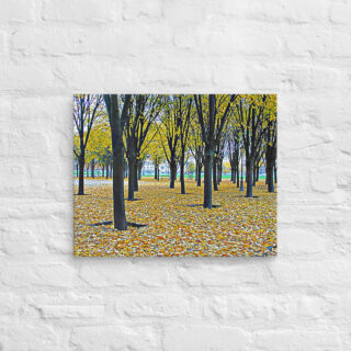 canvas-in-16x20-front-68f008d883f3d.jpg Canvas French Paris Foliage 003 16″×20″