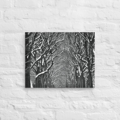 canvas-in-16x20-front-68f1175dd04fe.jpg Canvas us New York City Central Park 0002 16″×20″