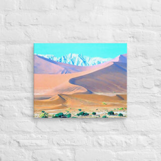 Canvas Namibia Sossusvlei 00014 16″×20″