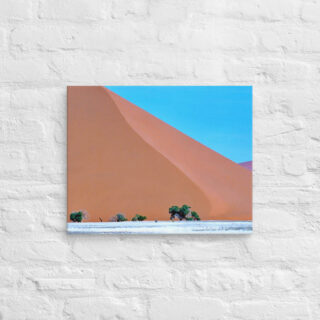 canvas-in-16x20-front-68f19b09bc8f3.jpg Canvas Namibia Sossusvlei 00010 16″×20″