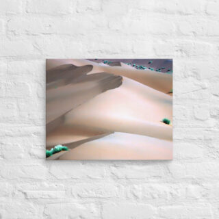Canvas Namibia Sossusvlei 0007 16″×20″