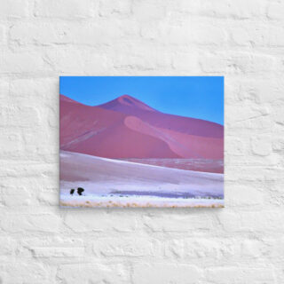 canvas-in-16x20-front-68f1b6b713a59.jpg Canvas Namibia Sossusvlei 0004 16″×20″