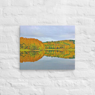 canvas-in-16x20-front-68f3f9a40a314.jpg Canvas France Provence Foliage 0016 16″×20″