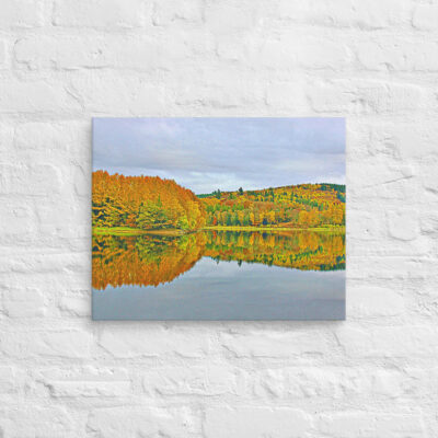 canvas-in-16x20-front-68f3f9a40a314.jpg Canvas France Provence Foliage 0016 16″×20″
