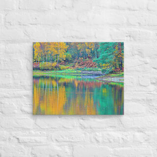 canvas-in-16x20-front-68f450efb7892.jpg Canvas France Provence Foliage 0015 16″×20″
