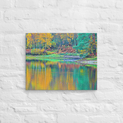 canvas-in-16x20-front-68f450efb7892.jpg Canvas France Provence Foliage 0015 16″×20″