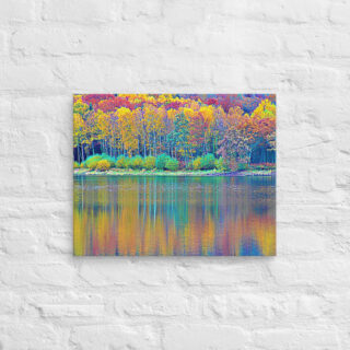 canvas-in-16x20-front-68f451905146b.jpg Canvas France Provence Foliage 0014 16″×20″