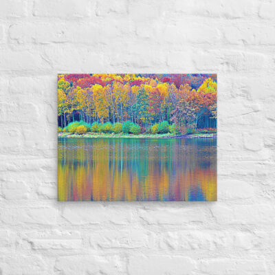 canvas-in-16x20-front-68f451905146b.jpg Canvas France Provence Foliage 0014 16″×20″