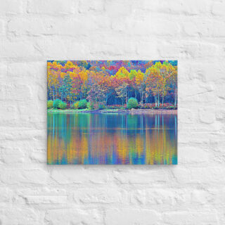 canvas-in-16x20-front-68f452a616e4a.jpg Canvas France Provence Foliage 0013 16″×20″
