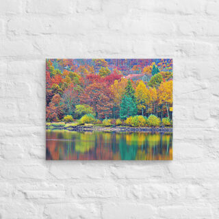 canvas-in-16x20-front-68f4535c06e1b.jpg Canvas France Provence Foliage 0012 16″×20″