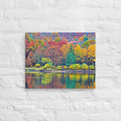 canvas-in-16x20-front-68f4535c06e1b.jpg Canvas France Provence Foliage 0012 16″×20″