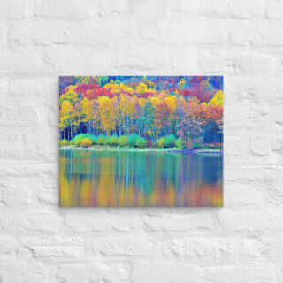 canvas-in-16x20-front-68f459637b45e.jpg Canvas France Provence Foliage 0006 16″×20″