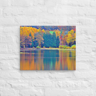 canvas-in-16x20-front-68f45a0f50609.jpg Canvas France Provence Foliage 0005 16″×20″