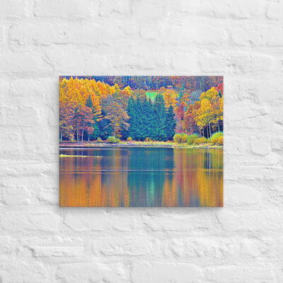 canvas-in-16x20-front-68f45a0f50609.jpg Canvas France Provence Foliage 0005 16″×20″