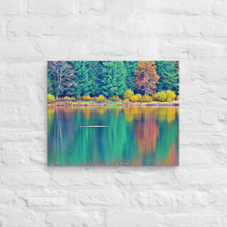 canvas-in-16x20-front-68f45a48bca3d.jpg Canvas France Provence Foliage 0004 16″×20″