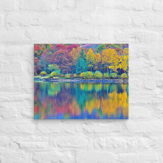 canvas-in-16x20-front-68f45b7c2bcf1.jpg Canvas France Provence Foliage 0003 16″×20″