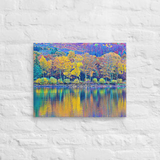 canvas-in-16x20-front-68f45c6402621.jpg Canvas France Provence Foliage 0002 16″×20″