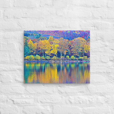 canvas-in-16x20-front-68f45c6402621.jpg Canvas France Provence Foliage 0002 16″×20″