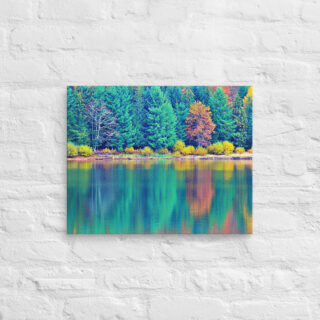 canvas-in-16x20-front-68f45d24383f2.jpg Canvas France Provence Foliage 0001 16″×20″