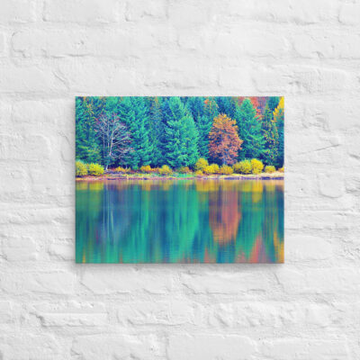 canvas-in-16x20-front-68f45d24383f2.jpg Canvas France Provence Foliage 0001 16″×20″