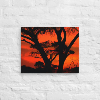 canvas-in-16x20-front-68f50e0bcee7f.jpg Canvas Afrika Sunset 0002 16″×20″