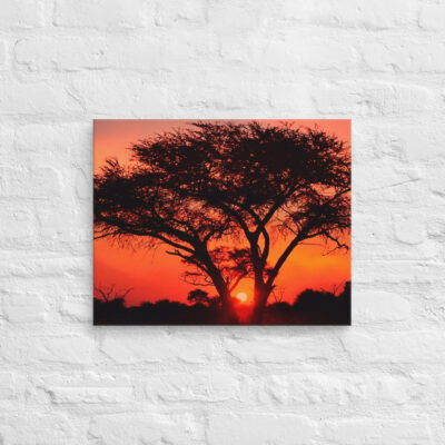 canvas-in-16x20-front-68f510959f839.jpg Canvas Afrika Sunset 0001 16″×20″