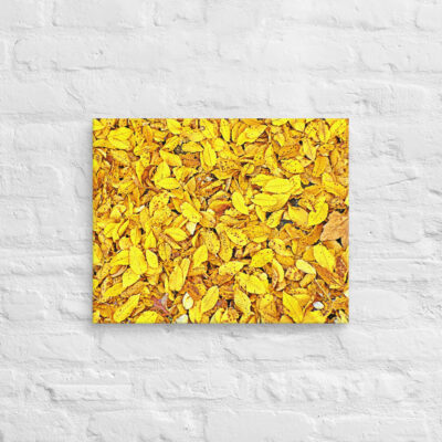 canvas-in-16x20-front-68f5237867cc2.jpg Canvas us Foliage 0001 16″×20″