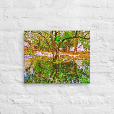 Canvas israel dan river 0002 16″×20″