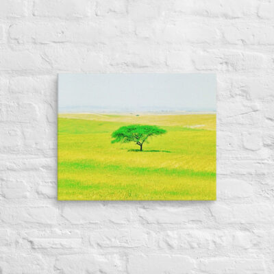 Canvas israel negev 0002 16″×20″