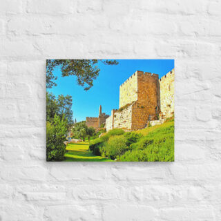 canvas-in-16x20-front-690103c4c743c.jpg Canvas jerusalem old city david tower 0003 16″×20″