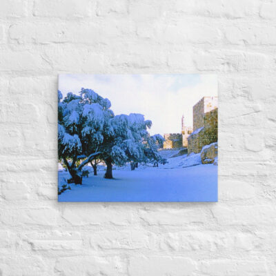 canvas-in-16x20-front-69010856d16a6.jpg Canvas jerusalem old city david tower 0007 16″×20″