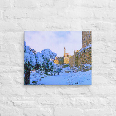 canvas-in-16x20-front-69010aec092b8.jpg Canvas jerusalem old city david tower 0005 16″×20″
