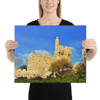 canvas-in-16x20-person-68e4270f7c993.jpg Canvas jerusalem old city david tower 0001 16″×20″