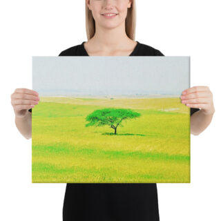Canvas israel negev 0002 16″×20″