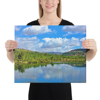 Canvas israel judean hills 0001 16″×20″