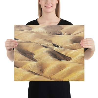 canvas-in-16x20-person-68e84a13d94e6.jpg Canvas israel judean desert 0006 16″×20″