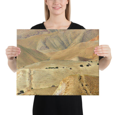 canvas-in-16x20-person-68e84b3edad4b.jpg Canvas israel judean desert 0005 16″×20″