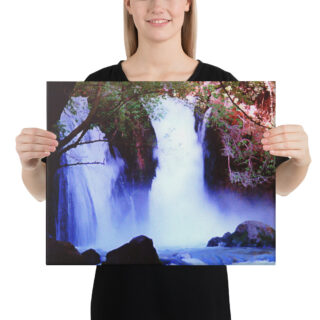 Canvas israel banias waterfall 0003 16″×20″