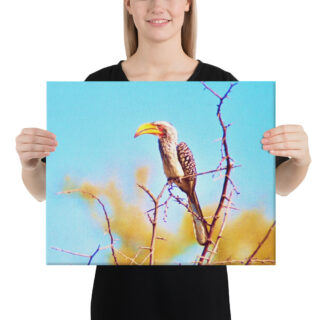 canvas-in-16x20-person-68eaee9295d9a.jpg Canvas birds of the world Yellow billed Hornbill 0001 16″×20″