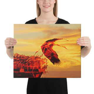 canvas-in-16x20-person-68eaefd8e5859.jpg Canvas birds of the world Stork 0001 16″×20″