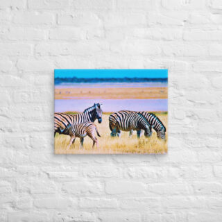 Canvas zebra 0003 18″×24″