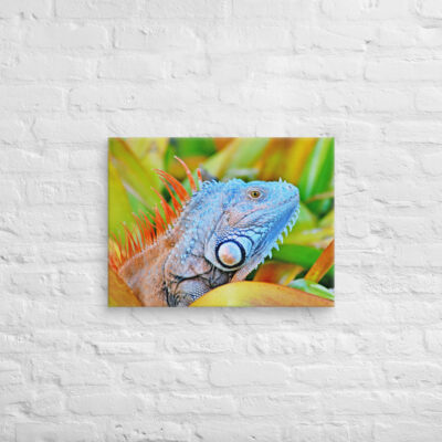 Canvas egona 0004 18″×24″