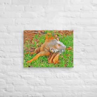 canvas-in-18x24-front-68ed6cfe93540.jpg Canvas egona 0003 18″×24″