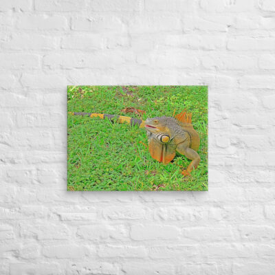 Canvas egona 0002 18″×24″