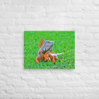 canvas-in-18x24-front-68ed7466a8544.jpg Canvas egona 0001 18″×24″